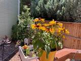 1508 Laurenwood Way - Photo 27