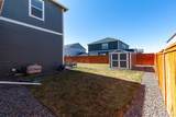 6563 Globeflower Street - Photo 27