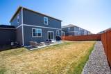 6563 Globeflower Street - Photo 29