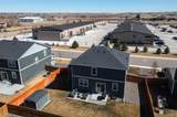 6563 Globeflower Street - Photo 39