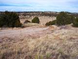 Lot 2 Red Creek Springs Road - Photo 1
