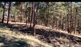 271 Thunder Ridge - Photo 17