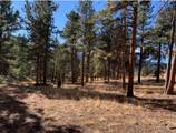 271 Thunder Ridge - Photo 8