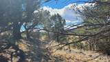 311 Kit Carson Trail - Photo 11