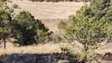 311 Kit Carson Trail - Photo 12