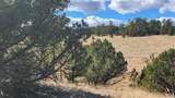 311 Kit Carson Trail - Photo 13