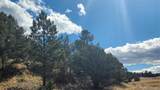 311 Kit Carson Trail - Photo 14
