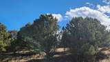 311 Kit Carson Trail - Photo 15
