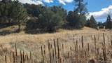 311 Kit Carson Trail - Photo 16