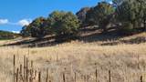 311 Kit Carson Trail - Photo 18