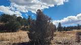 311 Kit Carson Trail - Photo 23