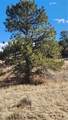 311 Kit Carson Trail - Photo 24