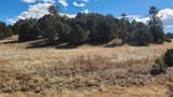 311 Kit Carson Trail - Photo 26