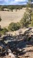 311 Kit Carson Trail - Photo 8