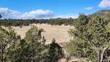 311 Kit Carson Trail - Photo 9