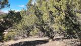 311 Kit Carson Trail - Photo 10