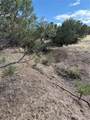729 Vail Pass Road - Photo 7