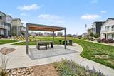 13495 103rd Avenue - Photo 23