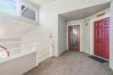 3664 Iguana Drive - Photo 4