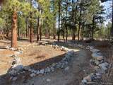 16165 Burt Gulch Road - Photo 37
