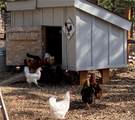 16165 Burt Gulch Road - Photo 39