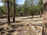 16165 Burt Gulch Road - Photo 40