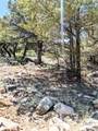 1799 Lone Pine Way - Photo 12