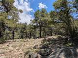 1799 Lone Pine Way - Photo 13