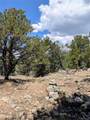 1799 Lone Pine Way - Photo 14