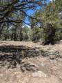 1799 Lone Pine Way - Photo 4