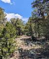 1799 Lone Pine Way - Photo 5