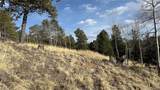 239 Homestead Road - Photo 11