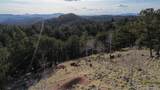 239 Homestead Road - Photo 13