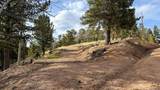 239 Homestead Road - Photo 4