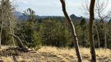 239 Homestead Road - Photo 8