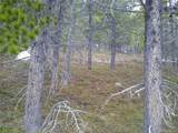 Lot 417 Glory Hole Road - Photo 2