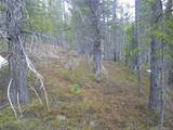 Lot 417 Glory Hole Road - Photo 4
