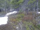 Lot 417 Glory Hole Road - Photo 5
