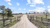 29684 County Road 17-21 - Photo 13
