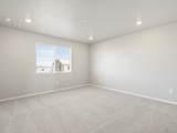 1625 Yampa River Drive - Photo 16