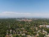 718 Locust Street - Photo 50
