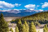 71575 Highway 40 - Photo 7