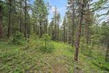 27578 Timber Trail - Photo 21