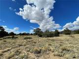 1566 Rocky Mountain Trail - Photo 9