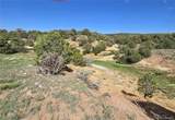 90 River Ridge Ranch - Photo 12