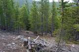 Lot 328 Eva Road - Photo 15