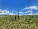19 Majors Ranch - Photo 4