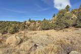 31950 Forest Service Road 376 - Photo 11
