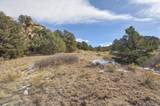 31950 Forest Service Road 376 - Photo 12