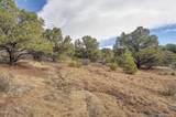 31950 Forest Service Road 376 - Photo 14